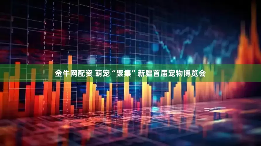 金牛网配资 萌宠“聚集”新疆首届宠物博览会