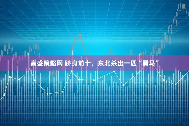 高盛策略网 跻身前十，东北杀出一匹“黑马”