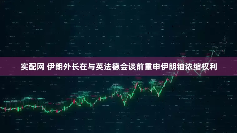实配网 伊朗外长在与英法德会谈前重申伊朗铀浓缩权利