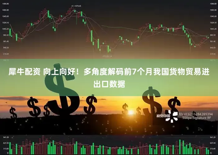 犀牛配资 向上向好！多角度解码前7个月我国货物贸易进出口数据