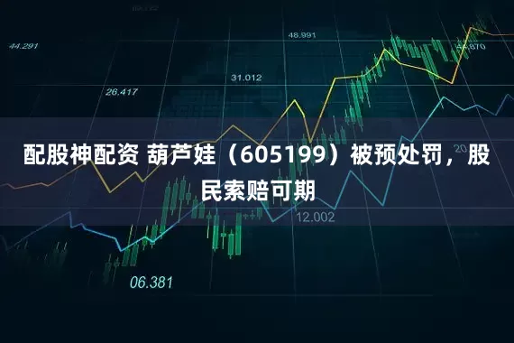 配股神配资 葫芦娃（605199）被预处罚，股民索赔可期